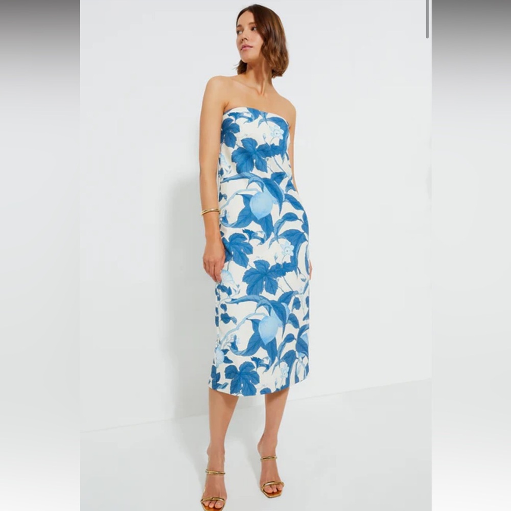 TUCKERNUCK
Bonnie Blossom Marin Dress. Size XS